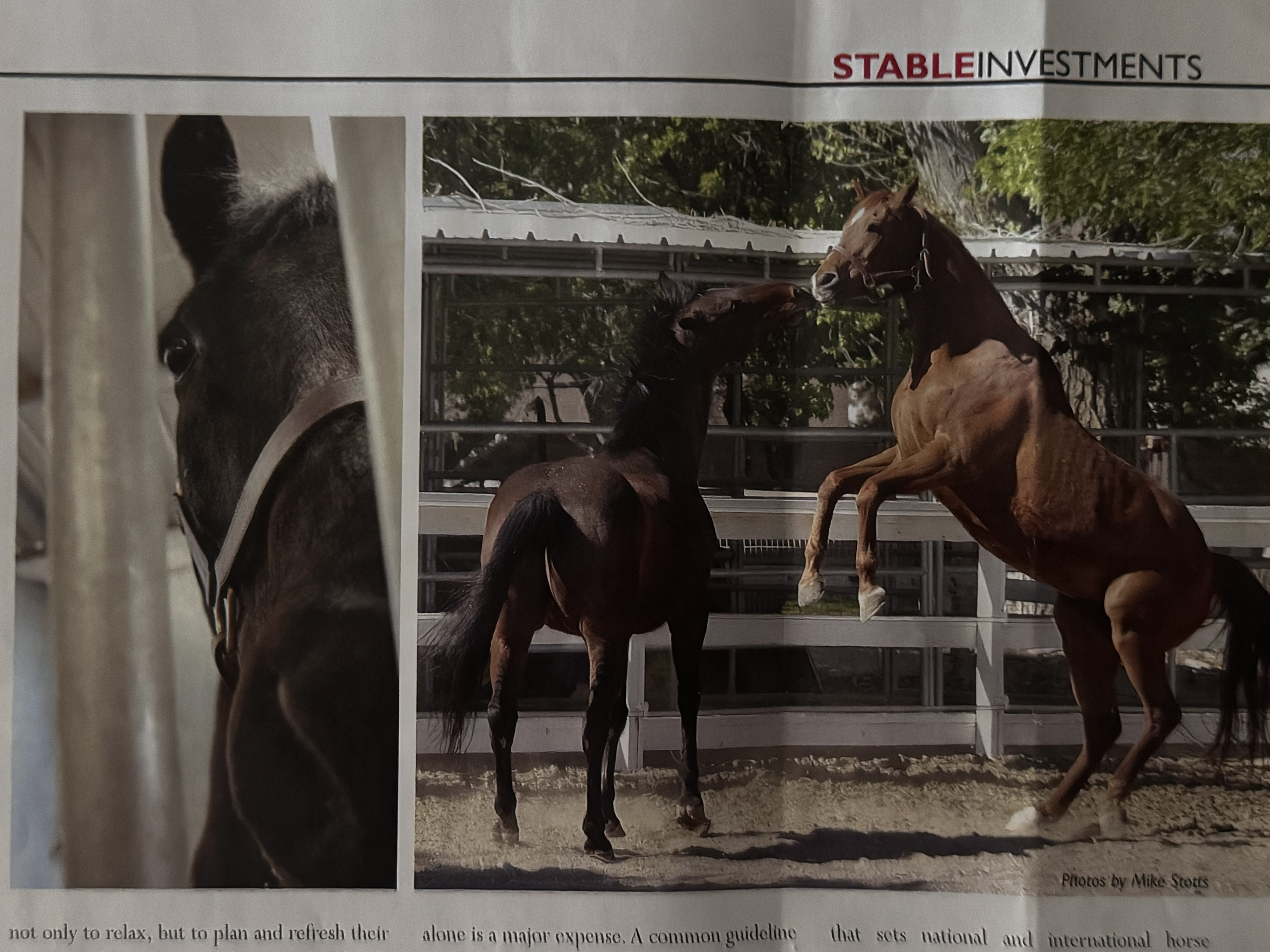 Stable Investments article continued — horses at Windrock Farm